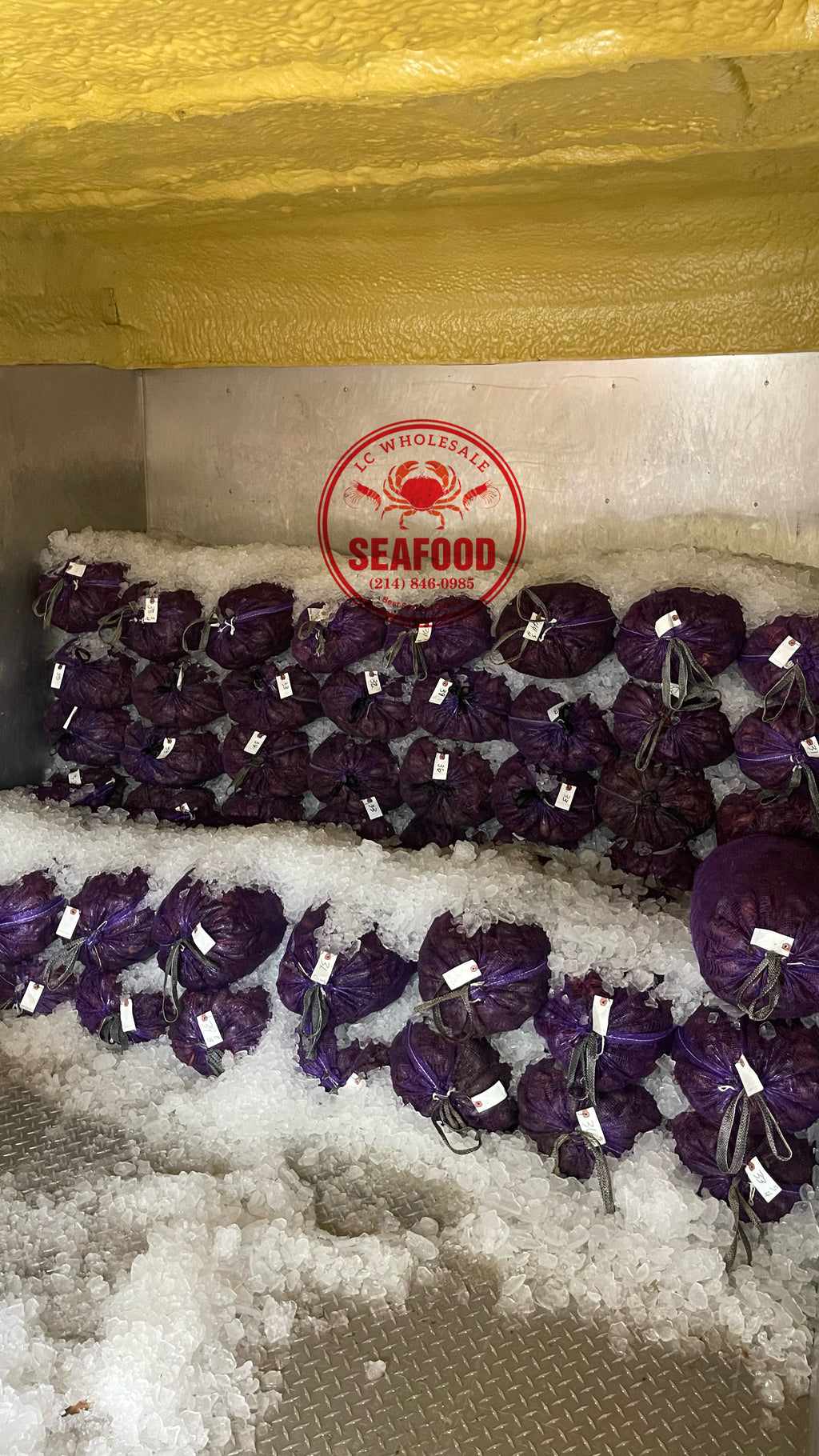 Live Crawfish Local Pick Up