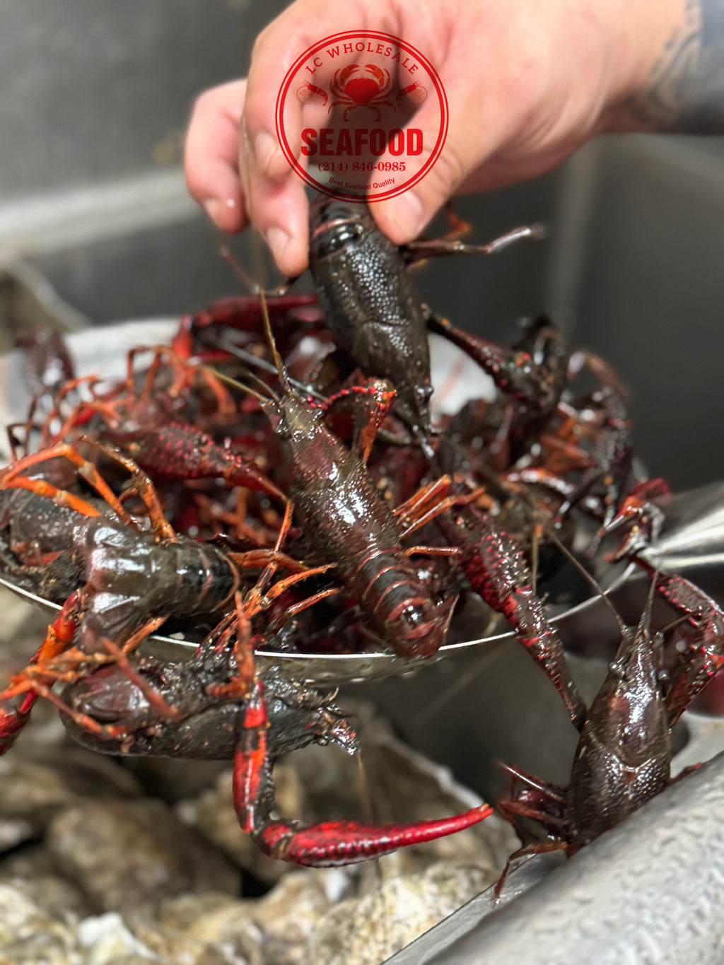 Live Crawfish Local Pick Up