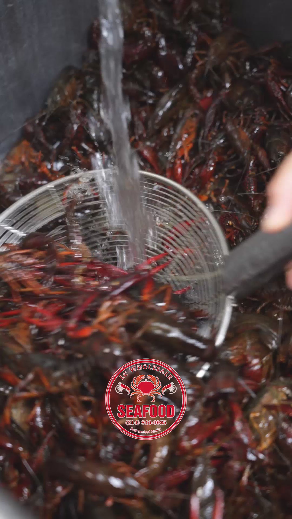 Boiled Crawfish product by Crab Station Restaurant